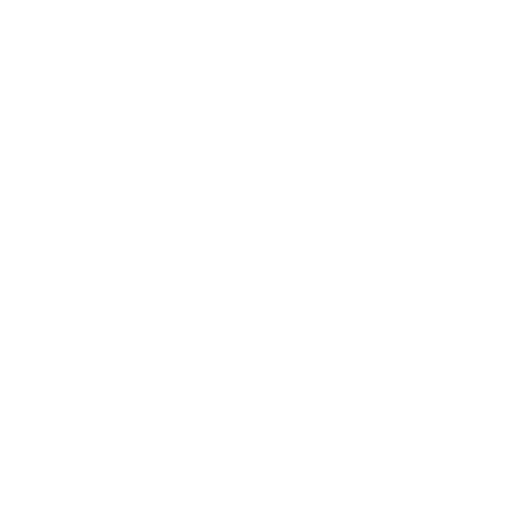 Nelcar Transportes